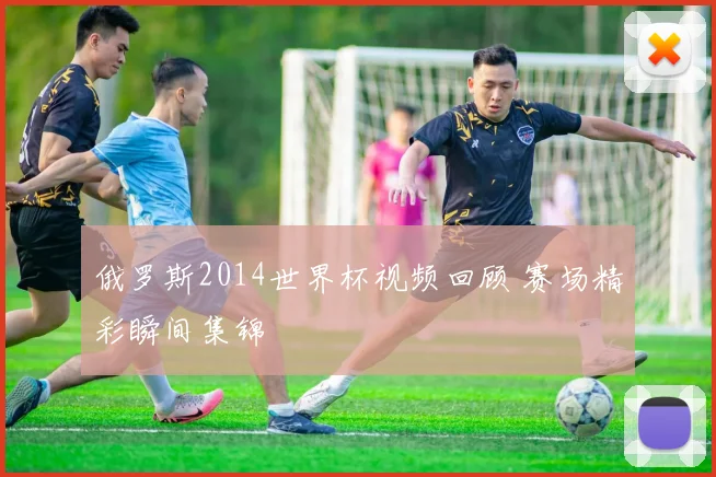 俄罗斯2014世界杯视频回顾 赛场精彩瞬间集锦