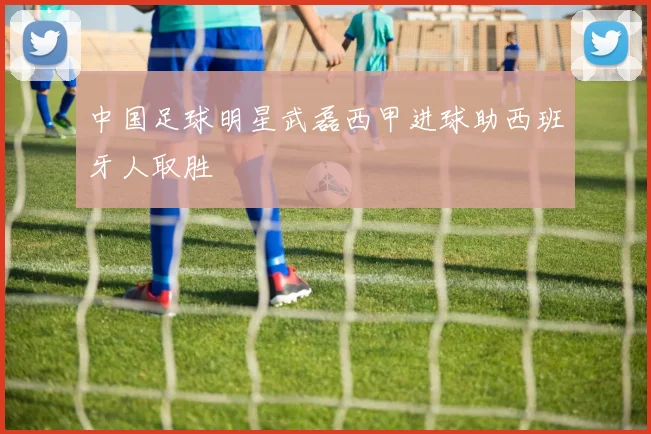 中国足球明星武磊西甲进球助西班牙人取胜