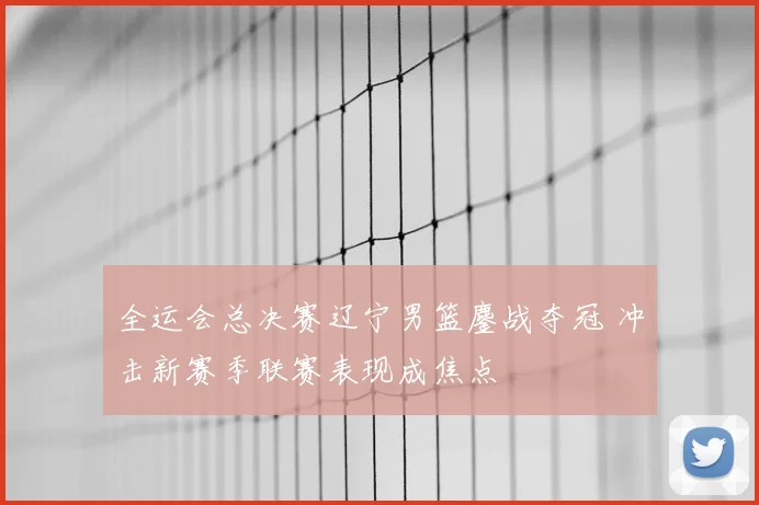 全运会总决赛辽宁男篮鏖战夺冠 冲击新赛季联赛表现成焦点